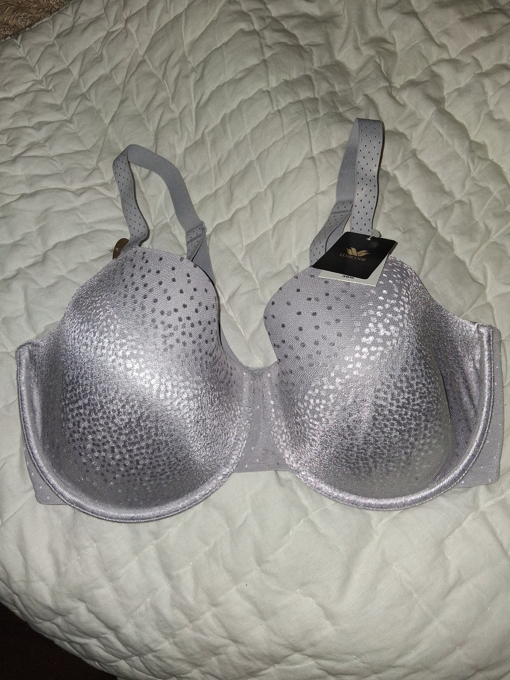Wacoal "Back Appeal" T-Shirt Silver Lightly Lined Bra NWT